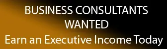 Business Consultants Wanted