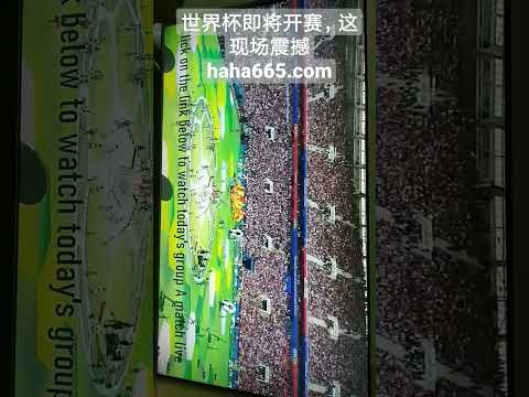 曼联与阿贾,克斯英超对,决握手言和,开云代理官网,开云代理,开云体育,开云全站,开云入口