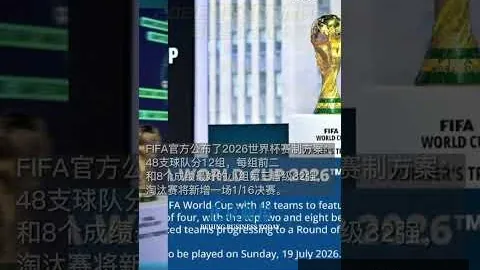 开云代理 084203 8